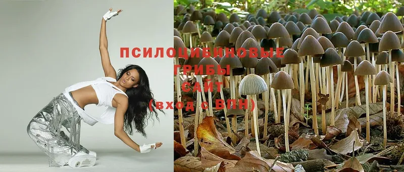 Псилоцибиновые грибы Magic Shrooms  Аша 